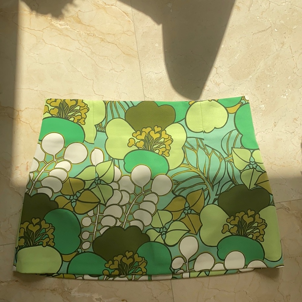 NWOT Zara Skirt